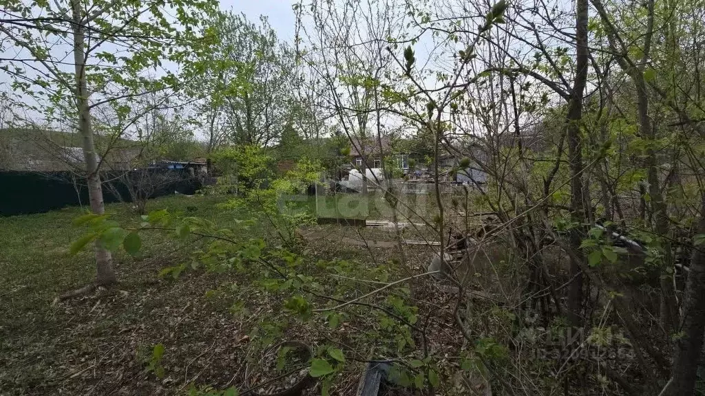 Дом в Приморский край, Надеждинский район, Дальневосточный садовод СТ ... - Фото 2