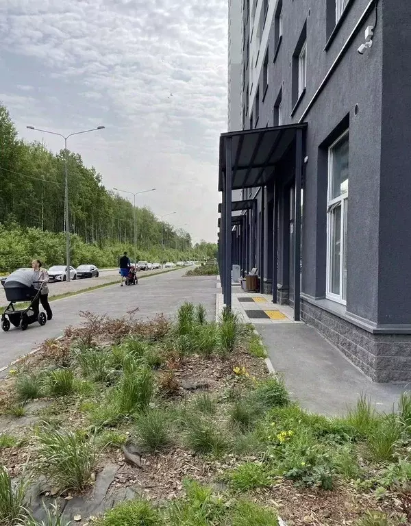 1-к кв. Санкт-Петербург ул. Пейзажная, 24к1 (19.0 м) - Фото 1