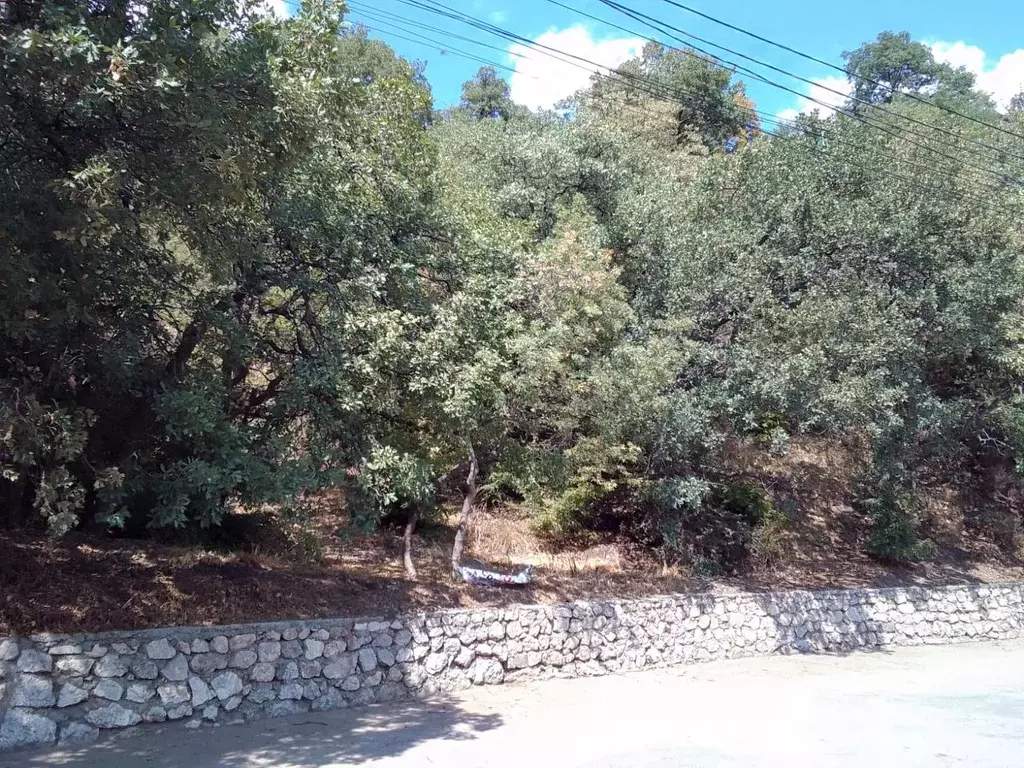 Участок в Крым, Алупка ул. Нагорная (10.0 сот.) - Фото 2