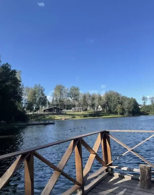 Участок в Ленинградская область, Всеволожский район, Токсовское ... - Фото 1
