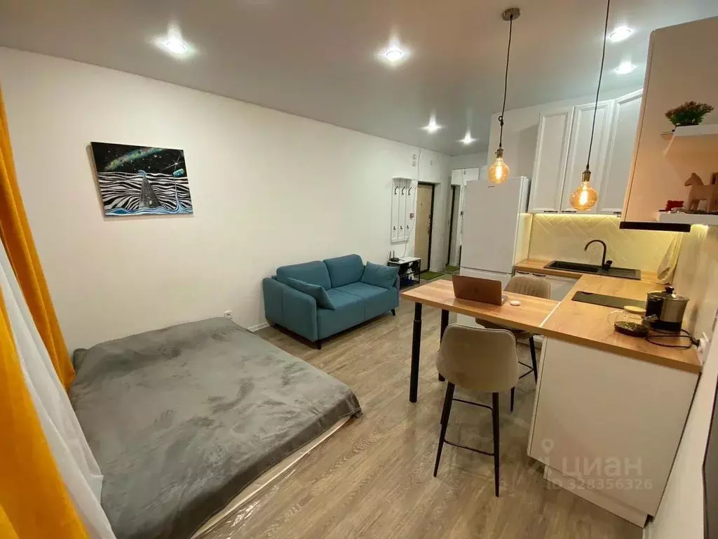 Студия Татарстан, Казань ул. Родины, 26Г (28.0 м) - Фото 1