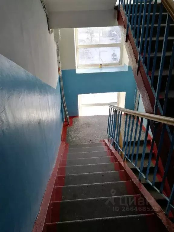 1-к кв. Алтайский край, Барнаул ул. Эмилии Алексеевой, 5к2 (15.0 м) - Фото 0