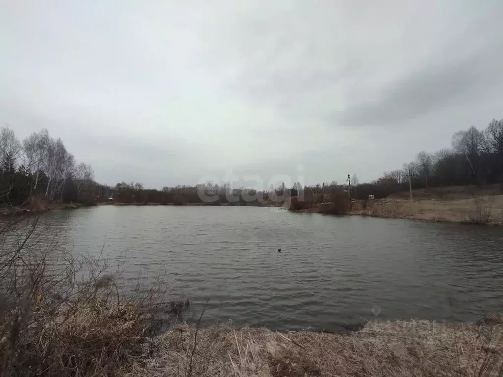 Участок в Тульская область, Тула городской округ, д. Струково ул. ... - Фото 1