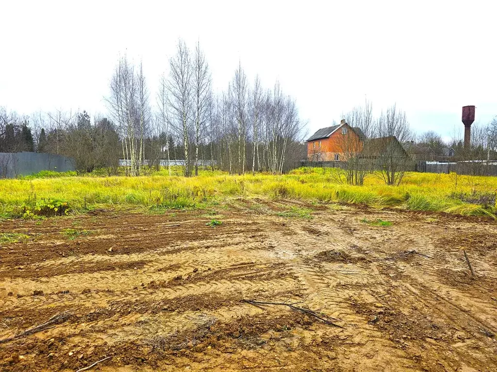 Участок в Московская область, Истра муниципальный округ, д. Борзые ул. ... - Фото 1