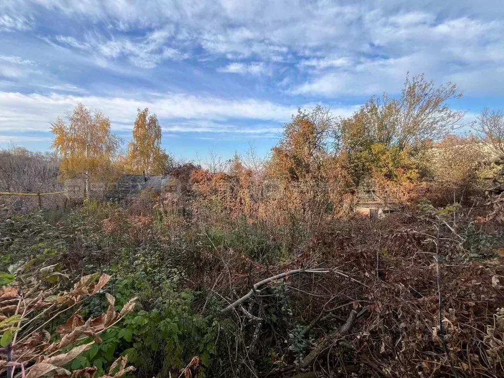 Участок в Татарстан, Верхнеуслонский район, с. Печищи 1 Мая ул. (9.7 ... - Фото 2