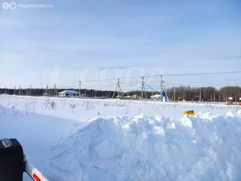 Участок в Тугулымский городской округ, деревня Филина (20.1 м) - Фото 1