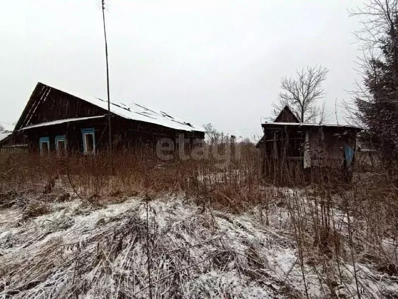 Участок в Пермский край, Нытвенский муниципальный округ, пос. Станции ... - Фото 2
