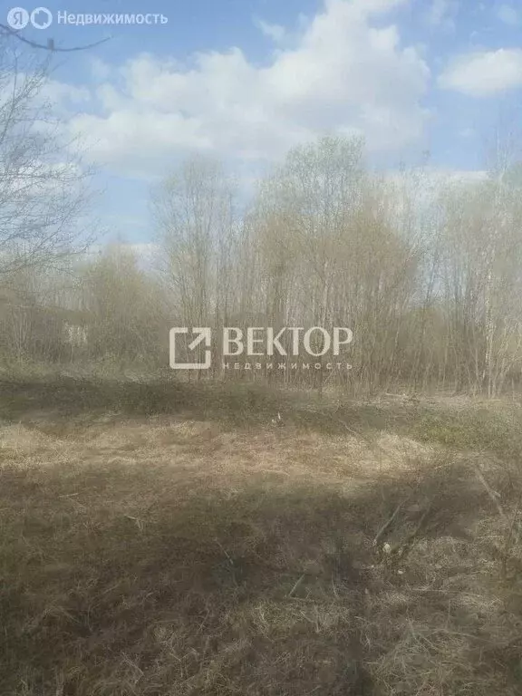 Участок в Ивановский район, Коляновское сельское поселение, деревня ... - Фото 2