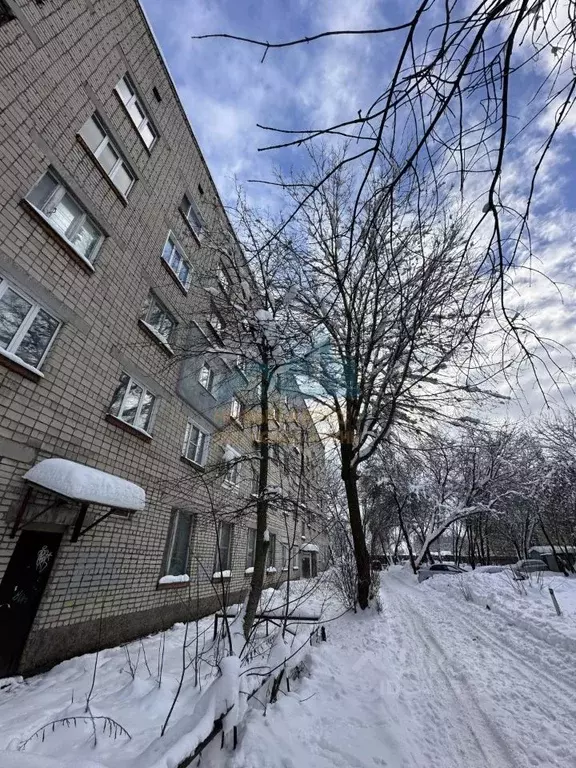 Студия Владимирская область, Муром Орловская ул., 25 (12.9 м) - Фото 2