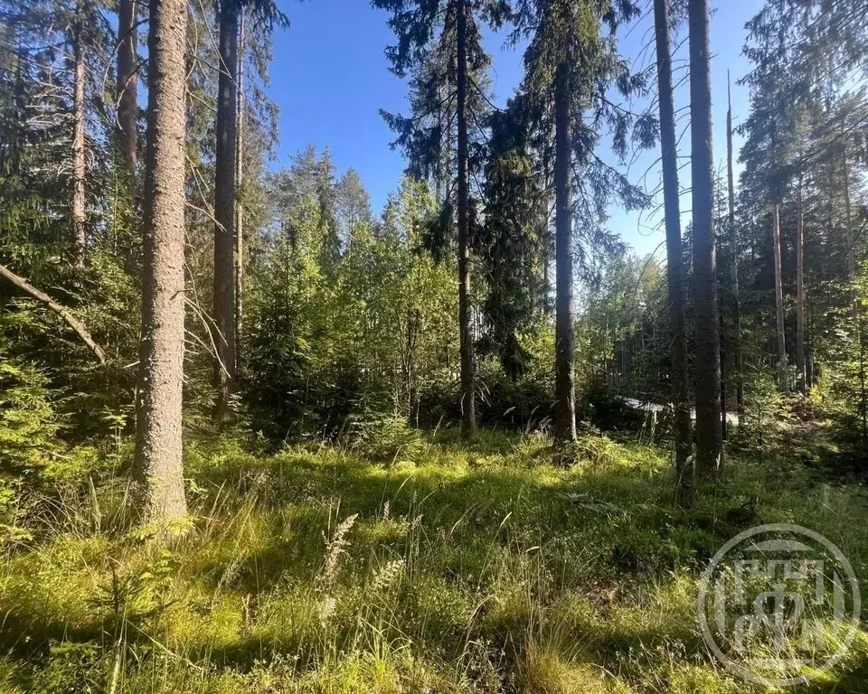 Участок в Ленинградская область, Сертолово Всеволожский район, Медное ... - Фото 0