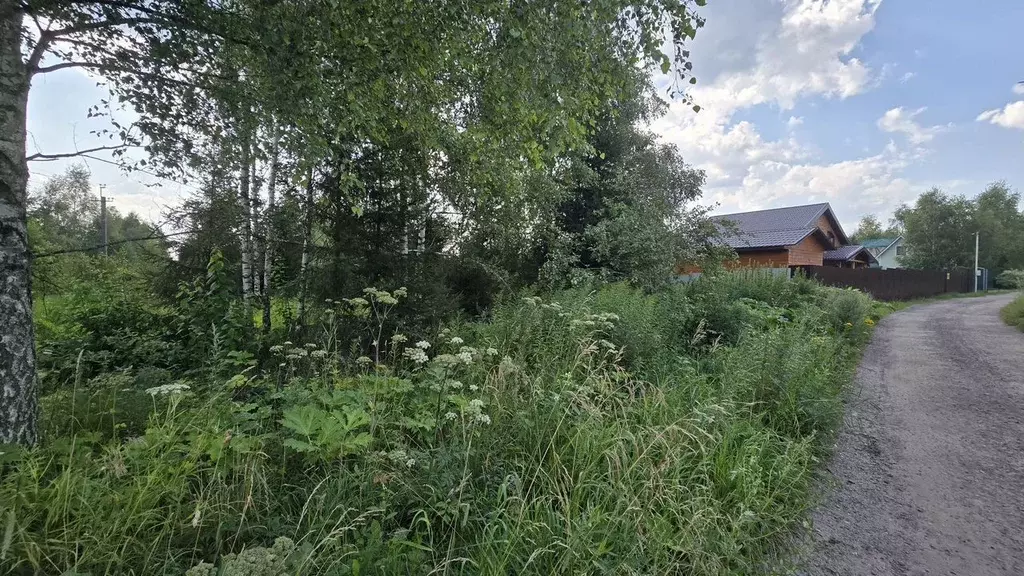 Участок в Московская область, Солнечногорск городской округ, д. ... - Фото 1