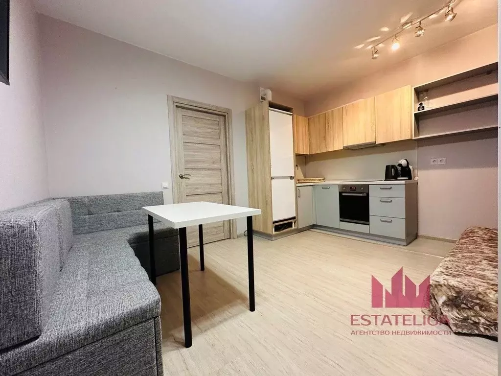 Студия Московская область, Подольск городской округ, д. Борисовка ул. ... - Фото 1