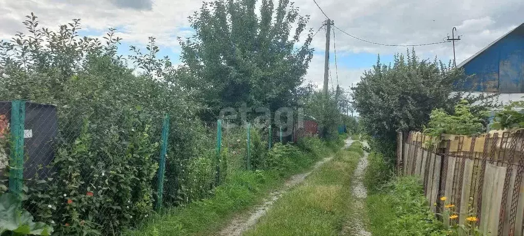 Дом в Челябинская область, Челябинск Дружба садовое товарищество, дор. ... - Фото 1