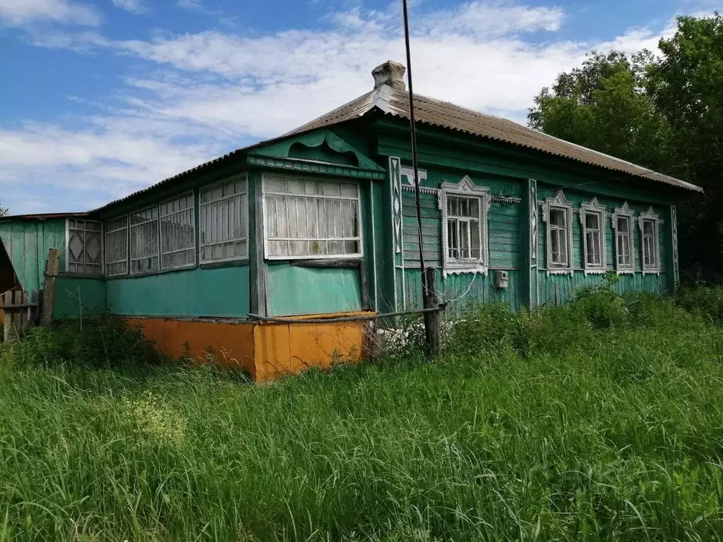 Дом в Рязанская область, Сасовский муниципальный округ, с. Вялсы ул. ... - Фото 1