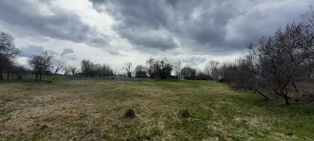 Дом в Калужская область, Перемышльский район, Горки с/пос, д. Ладыгино ... - Фото 2