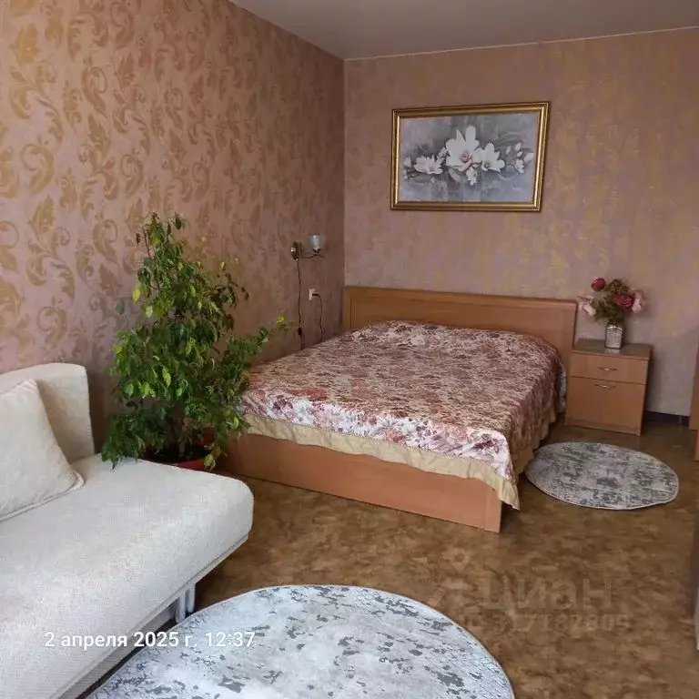 1-к кв. Севастополь ул. Дмитрия Ульянова, 11 (30.0 м) - Фото 1