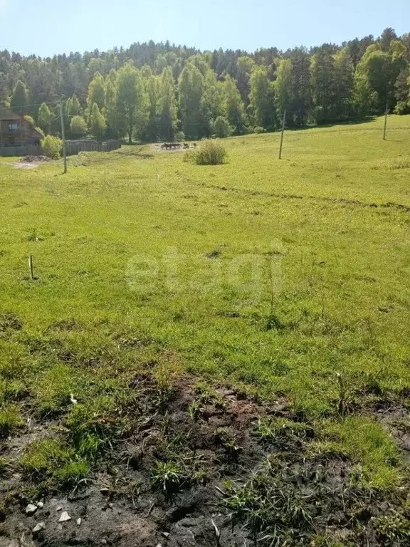 Участок в Алтай, Майминский район, с. Бирюля ул. Лесная (20.0 сот.) - Фото 0