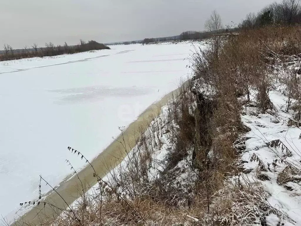 Участок в Свердловская область, Тавдинский городской округ, с. Кошуки  ... - Фото 0