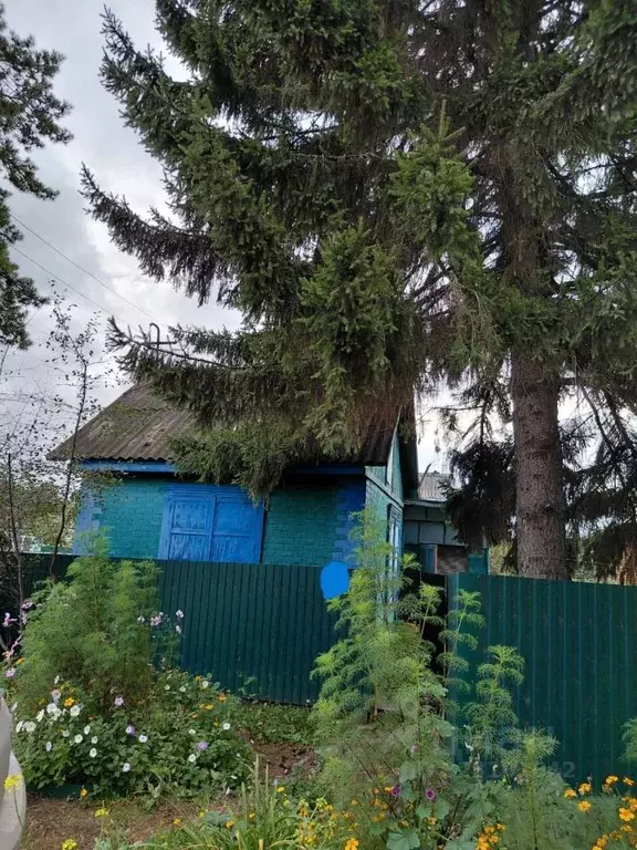 Дом в Омская область, Омск СОСН Рябинка тер., 64 (23 м) - Фото 2