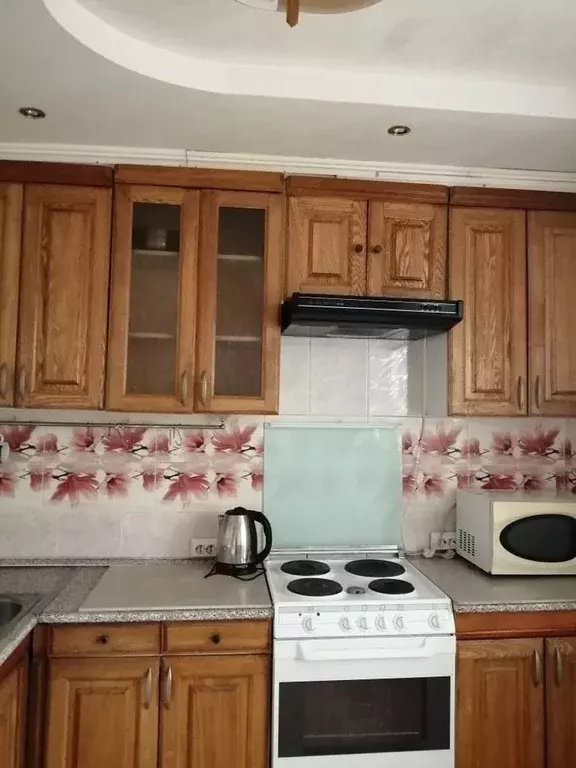 1-к кв. Новосибирская область, Новосибирск Горский мкр, 53 (46.0 м) - Фото 2