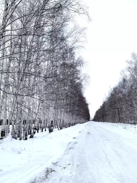 Коттедж в Омская область, Омский район, с. Надеждино, Березовый Стан ... - Фото 1