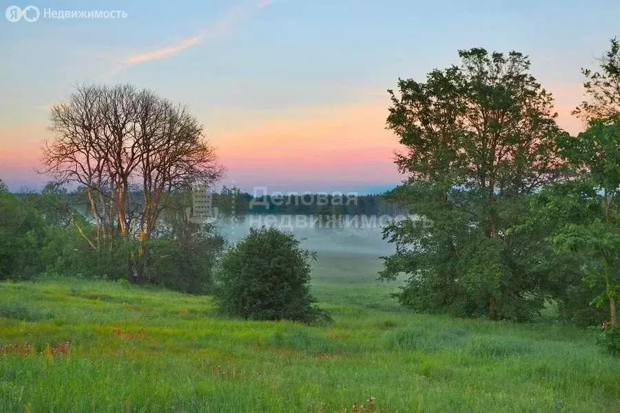 Участок в Новгородский район, Пролетарское городское поселение, ... - Фото 0
