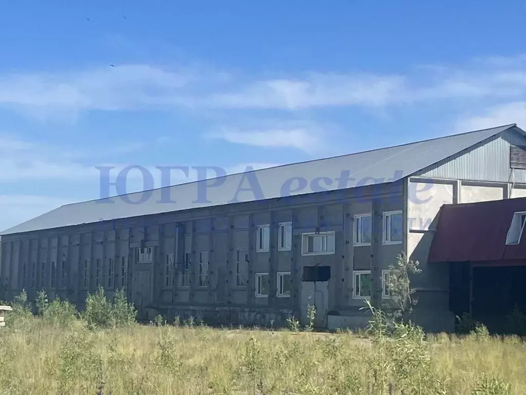 Помещение свободного назначения в Ханты-Мансийский АО, Нижневартовск № ... - Фото 1