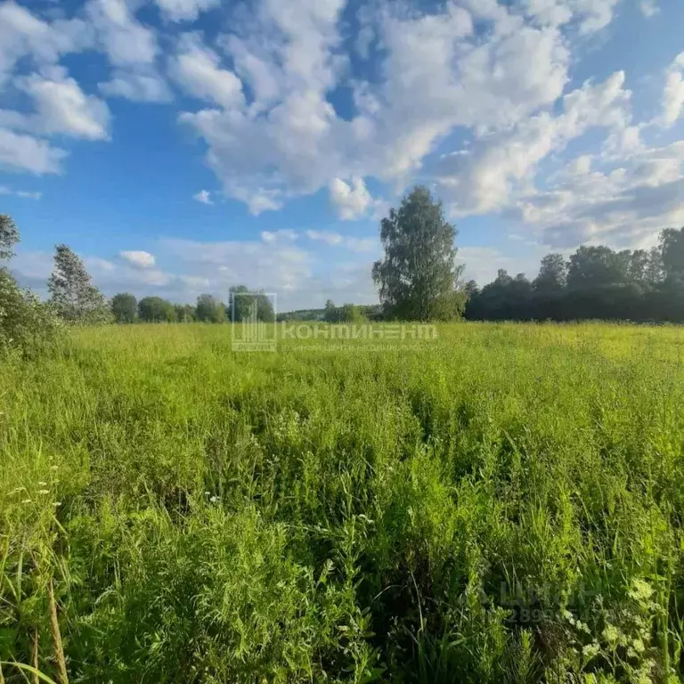 Участок в Владимирская область, Собинский район, д. Толпухово ... - Фото 1
