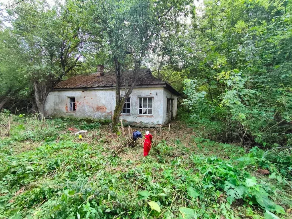 Дом в Буховое, улица Красный Октябрь, 53 (35.4 м) - Фото 1