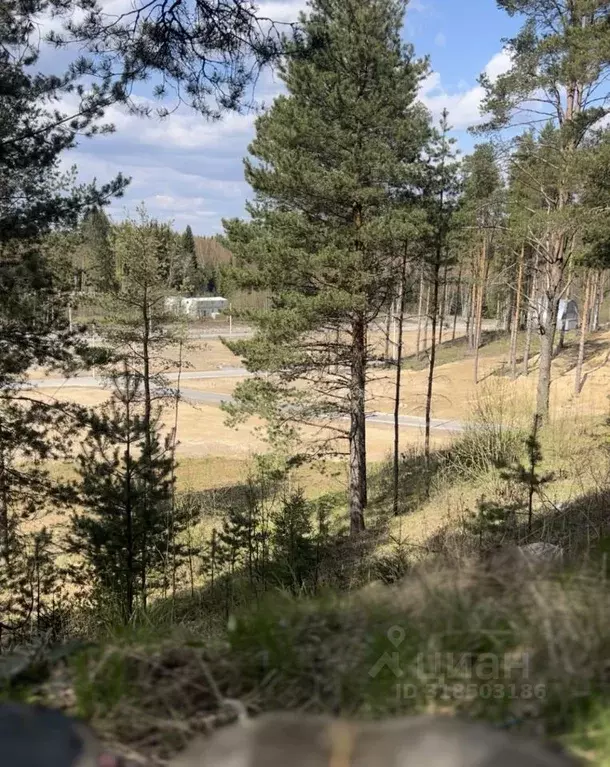 Участок в Ленинградская область, Всеволожский район, Бугровское ... - Фото 0