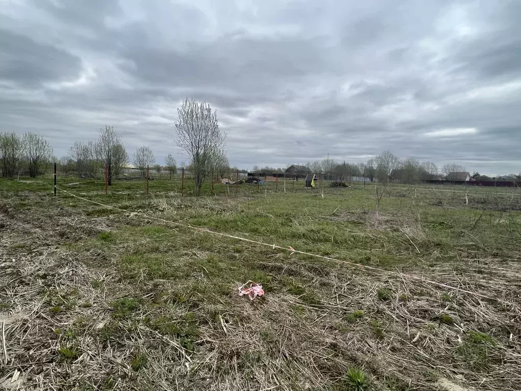 Участок в Ленинградская область, Ломоносовский район, д. Гостилицы  ... - Фото 0