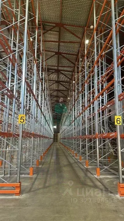 Склад в Московская область, Богородский городской округ, Обухово пгт, ... - Фото 2