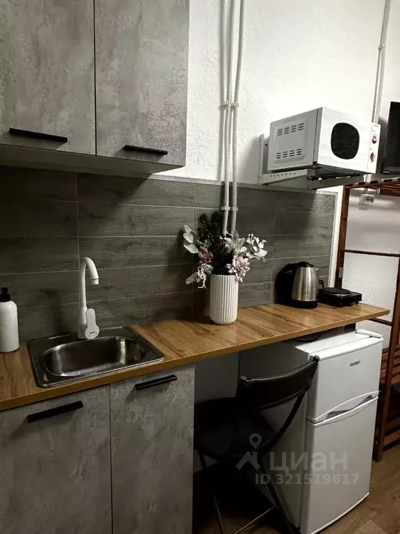 Студия Московская область, Раменское пос. Красный Октябрь, 23 (18.0 м) - Фото 1