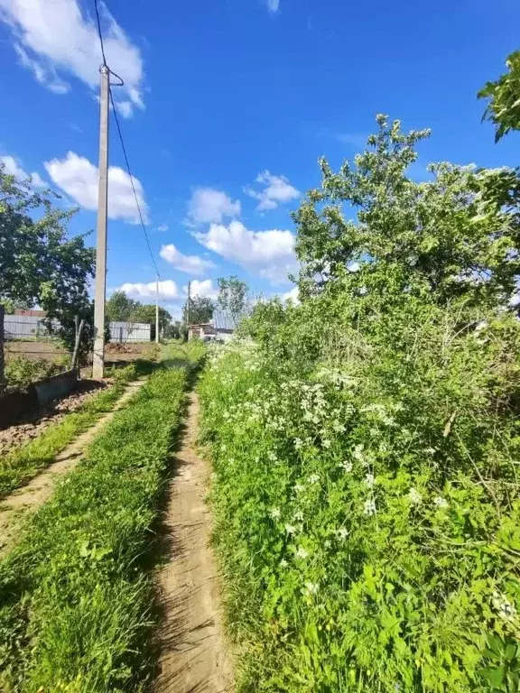 Участок в Костромская область, Кострома Текстильщик-1 садоводческое ... - Фото 2