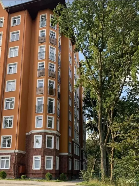 2-к кв. Калининградская область, Гурьевск Калининградское ш., 4Д (53.3 ... - Фото 2