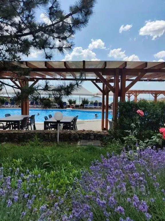 1-к кв. Крым, Феодосия муниципальный округ, Коктебель пгт ул. Ленина, ... - Фото 2