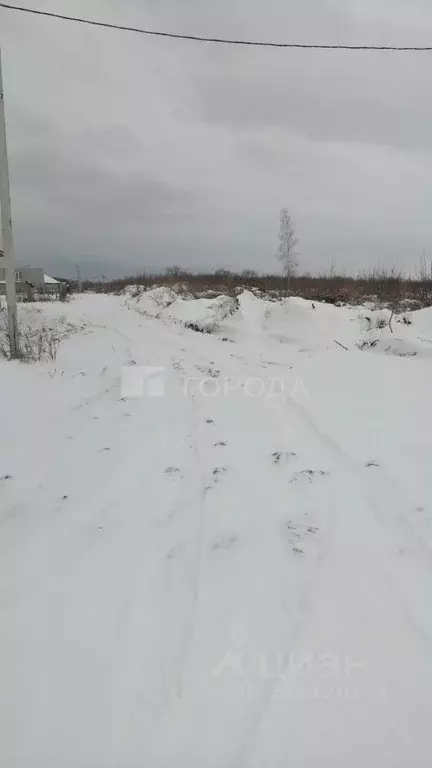 Участок в Алтайский край, Первомайский район, с. Фирсово  (13.5 сот.) - Фото 0