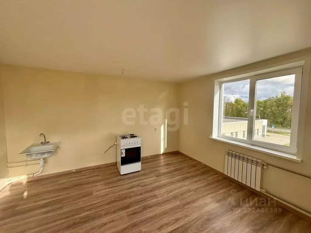 Студия Псковская область, Остров ул. Калинина, 82А (25.2 м) - Фото 1