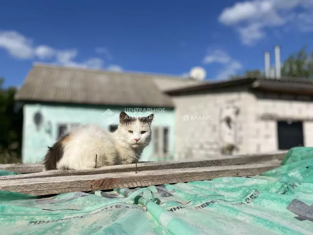 Дом в Рязанская область, Михайловский муниципальный округ, с. ... - Фото 0
