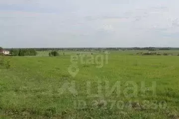 Участок в Оренбургская область, Оренбург городской округ, пос. ... - Фото 1