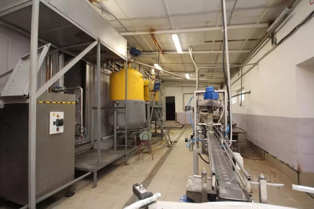 Производственное помещение в Ленинградская область, Лужский район, ... - Фото 1