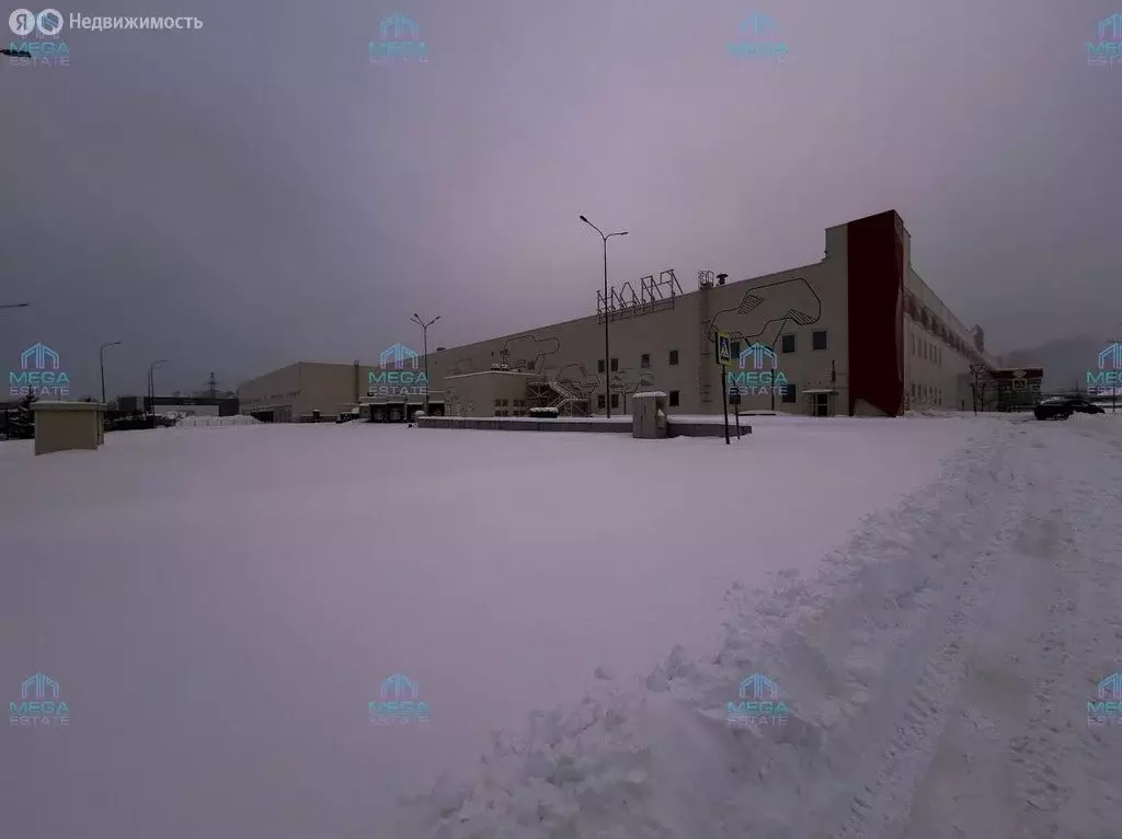 Склад (16238 м) - Фото 2