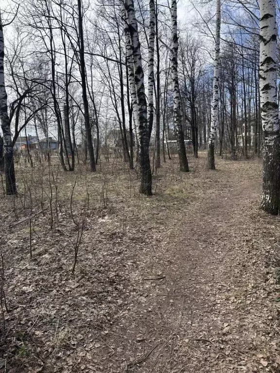 Участок в Нижегородская область, Кстово ул. Постниковых (9.0 сот.) - Фото 2