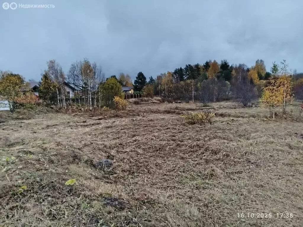 Участок в Шуйское сельское поселение, дачный массив Сургуба, Береговая ... - Фото 1