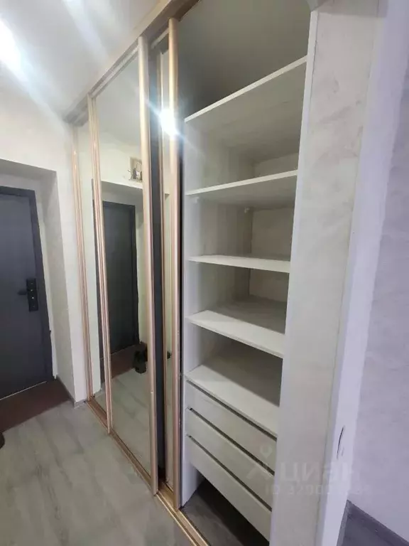 Студия Амурская область, Благовещенский район, с. Чигири ул. Красивая, ... - Фото 2