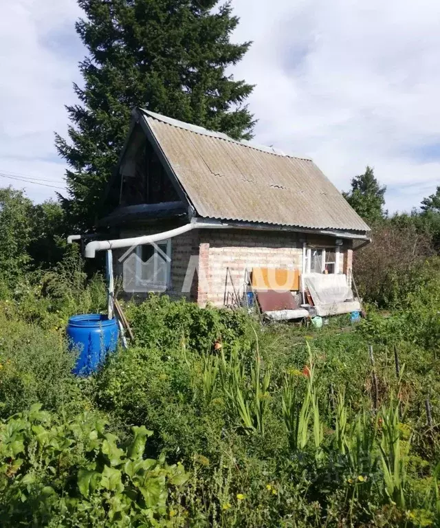 Дом в Омская область, Омск Крона СНТ, 512 (24 м) - Фото 0