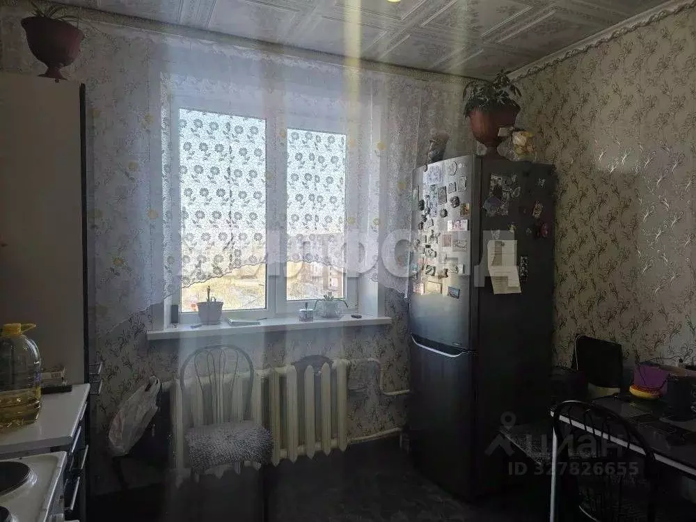 2-к кв. Забайкальский край, Борзинский район, Шерловая Гора пгт, 2-й ... - Фото 1