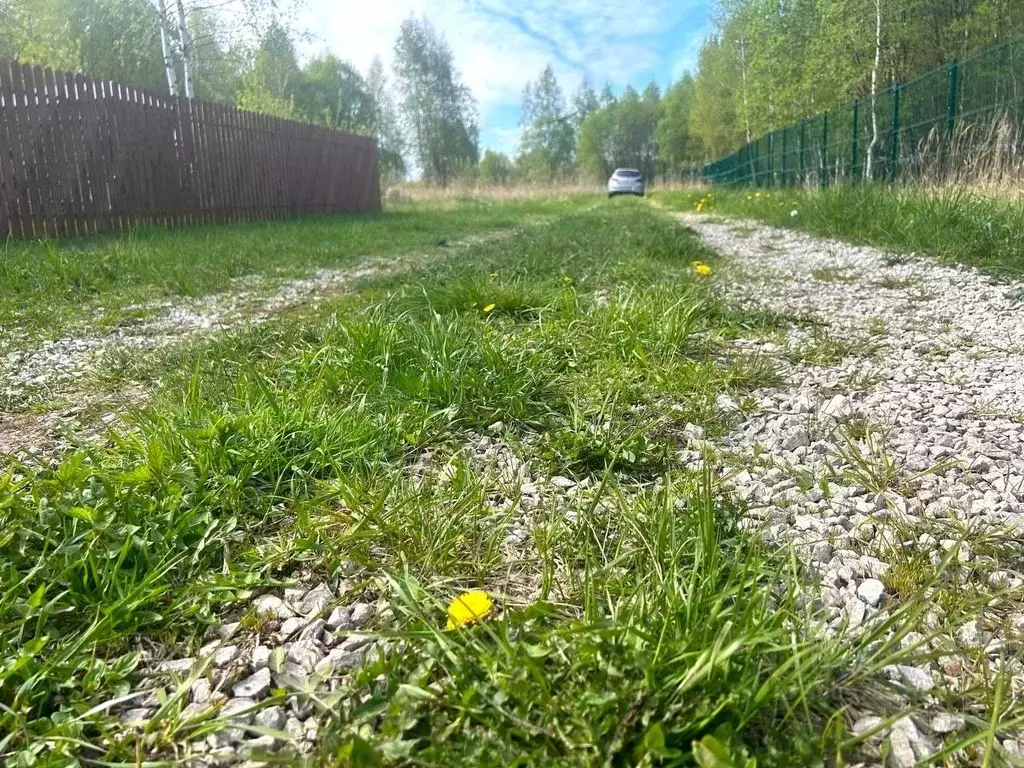 Участок в Тульская область, Заокский район, Демидовское с/пос, д. ... - Фото 1