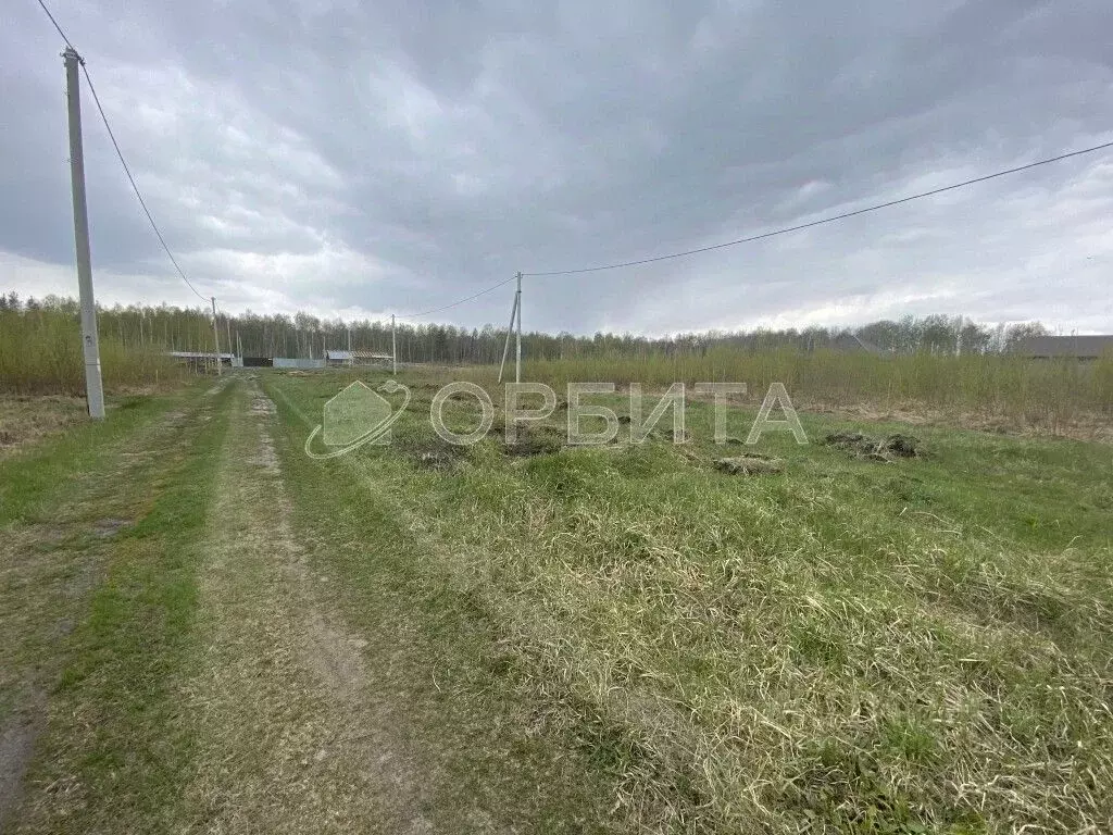 Участок в Тюменская область, Тюменский муниципальный округ, с. ... - Фото 1