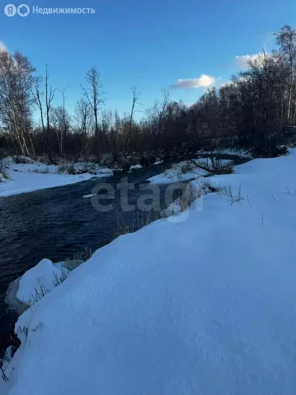 Участок в Камчатский край, Елизовский муниципальный округ, СНТ Рыбак ... - Фото 1